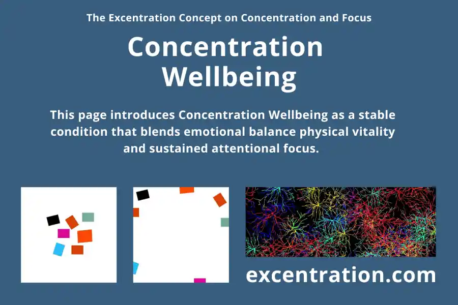 Concentration Wellbeing